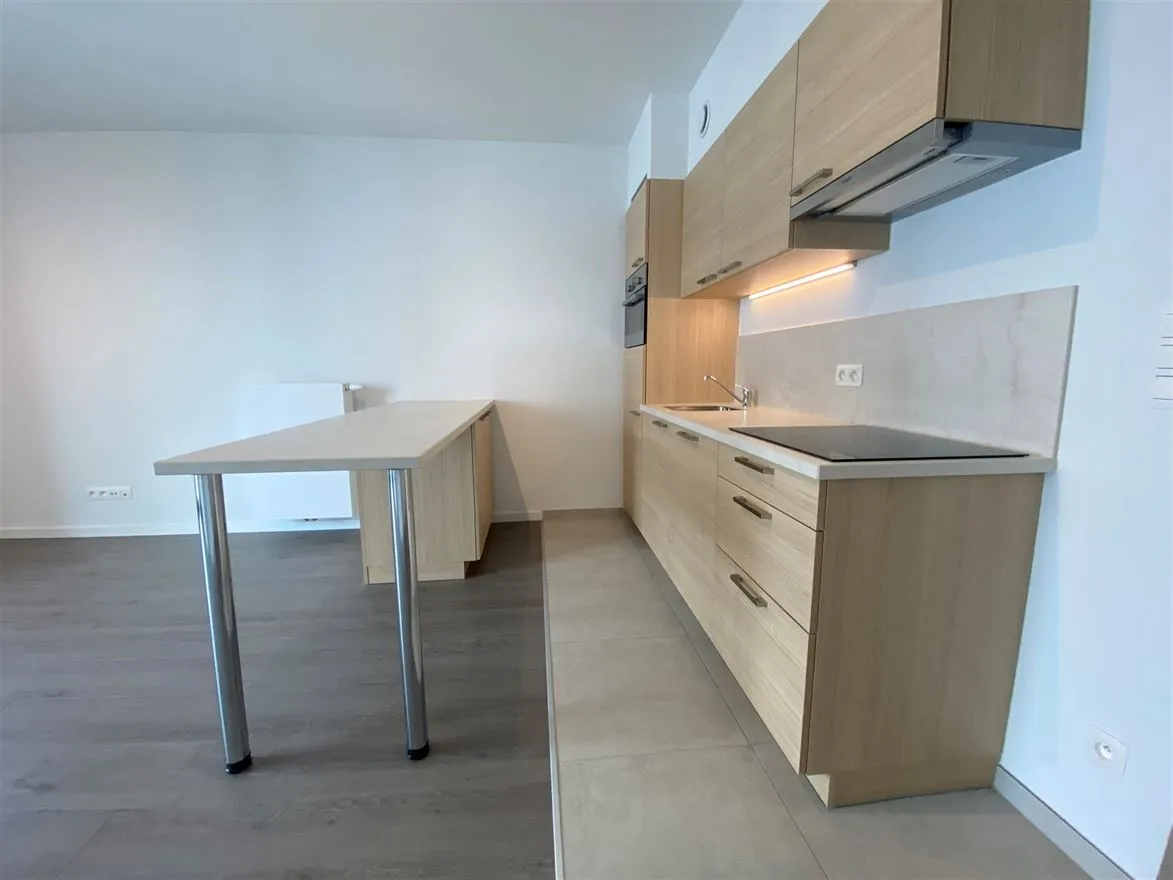 Apartment Zu Vermieten - 2018 ANTWERPEN BE Image 4